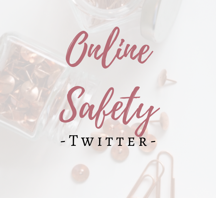 Online Safety Twitter blog image
