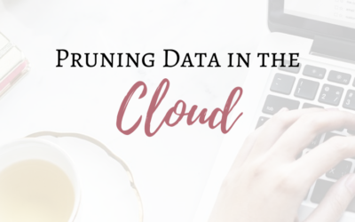 Pruning Data in The Cloud